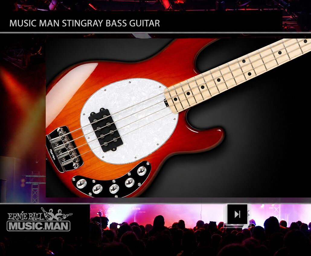 Guitar Center eLearning module interface, short view